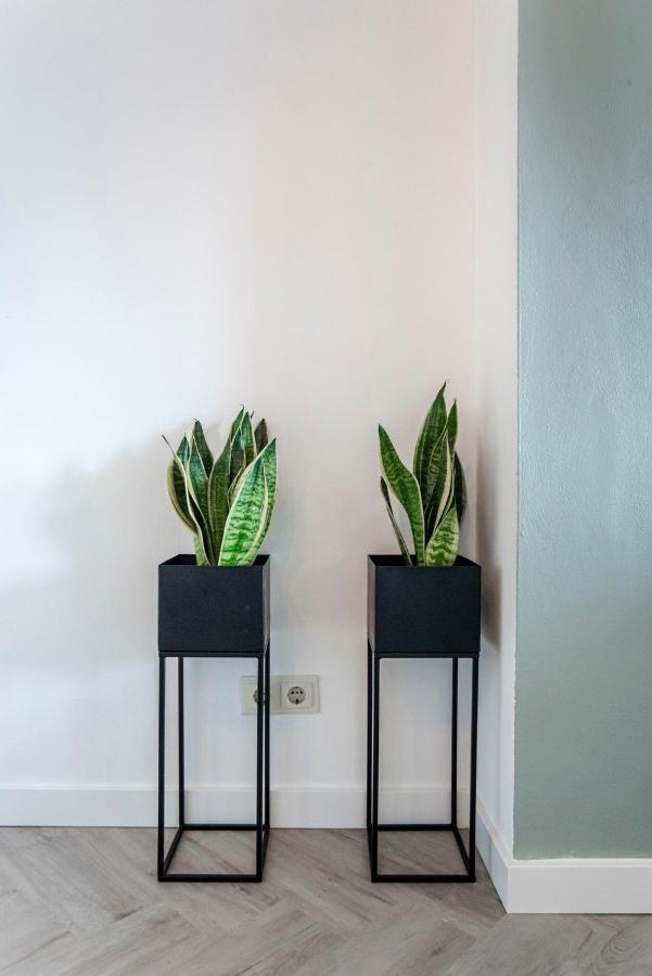 Appartement En Studio Papillon Zandvoort Bagian luar foto